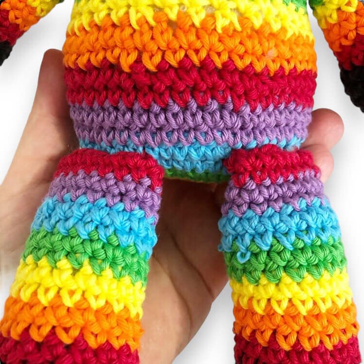 Rainbow Sam Cat Pattern
