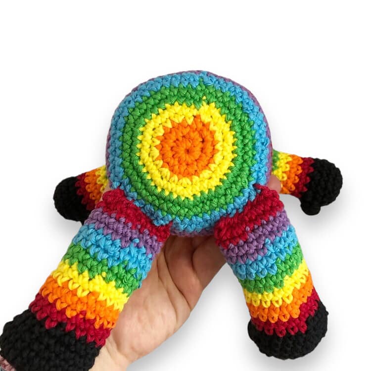 Rainbow Sam Cat Pattern
