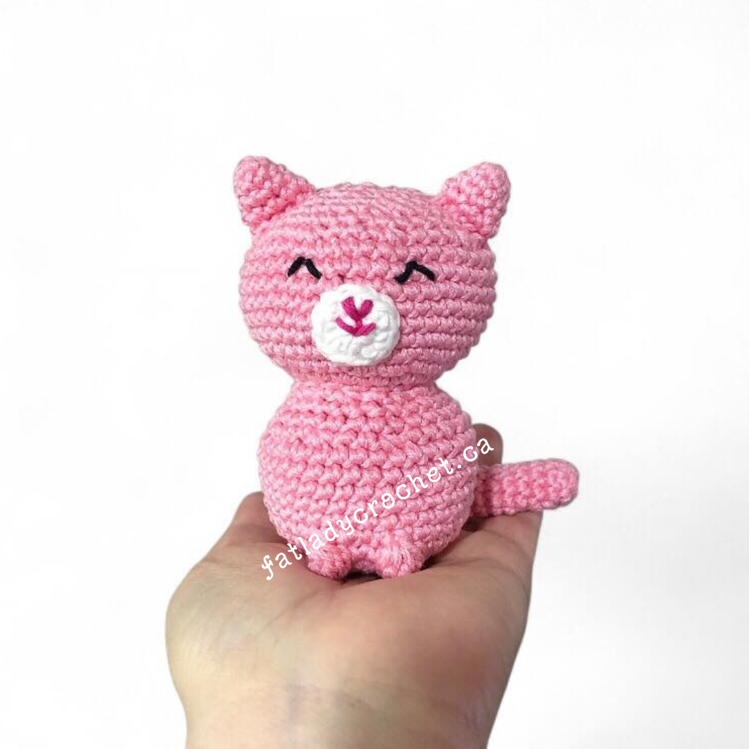Pink cat named Custard held in a hand against a white background