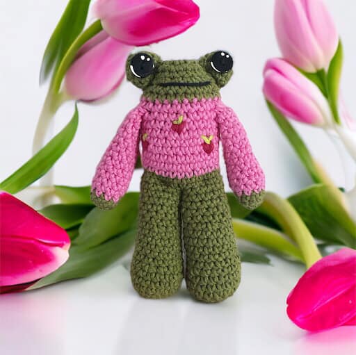 PATTERN: Crochet Frog in a Strawberry Sweater PDF
